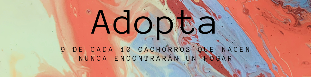 banner con frase
