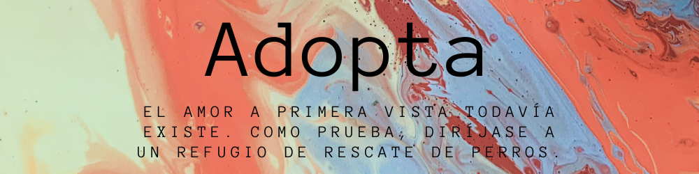 Banner con frase