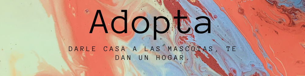 baner con frase