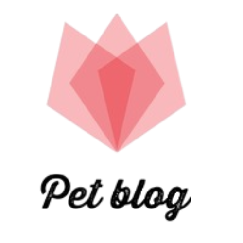 Logo del blog