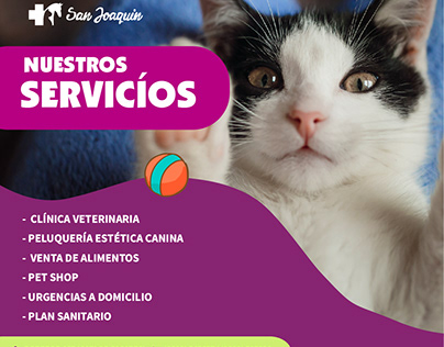Publicidad